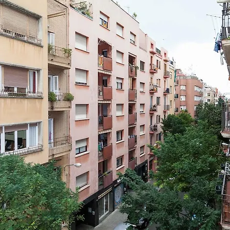 Molino Fresh Barcelona