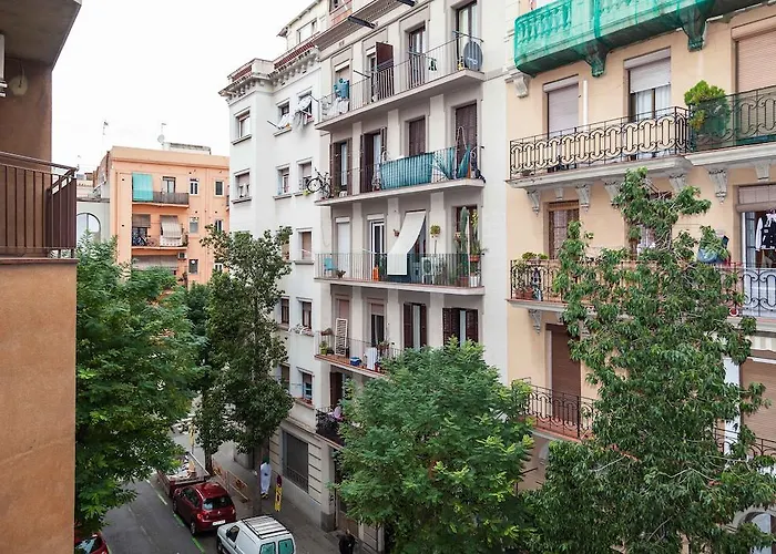 公寓 莫利诺清新酒店 *